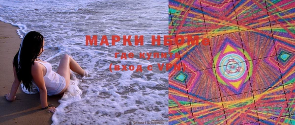 прущие грибы Богородицк