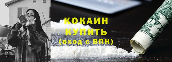 прущие грибы Богородицк