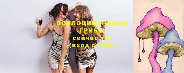 jwh Богородск