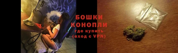 прущие грибы Богородицк