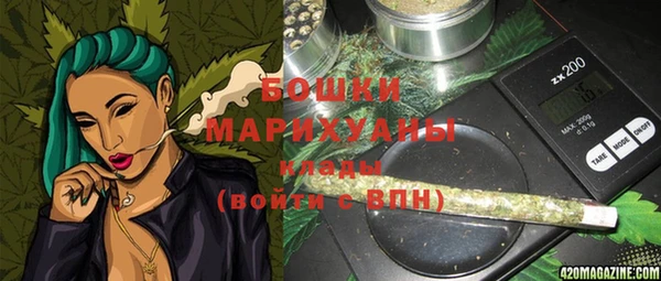 прущие грибы Богородицк