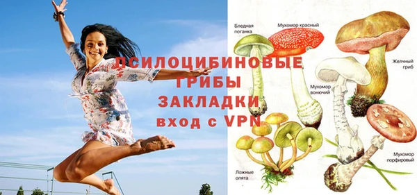 прущие грибы Богородицк