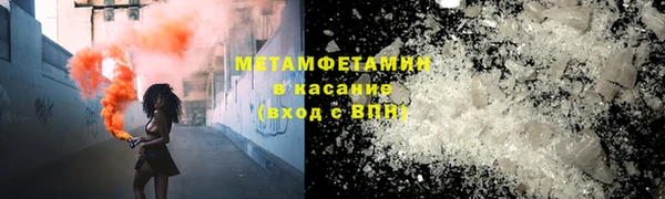 прущие грибы Богородицк